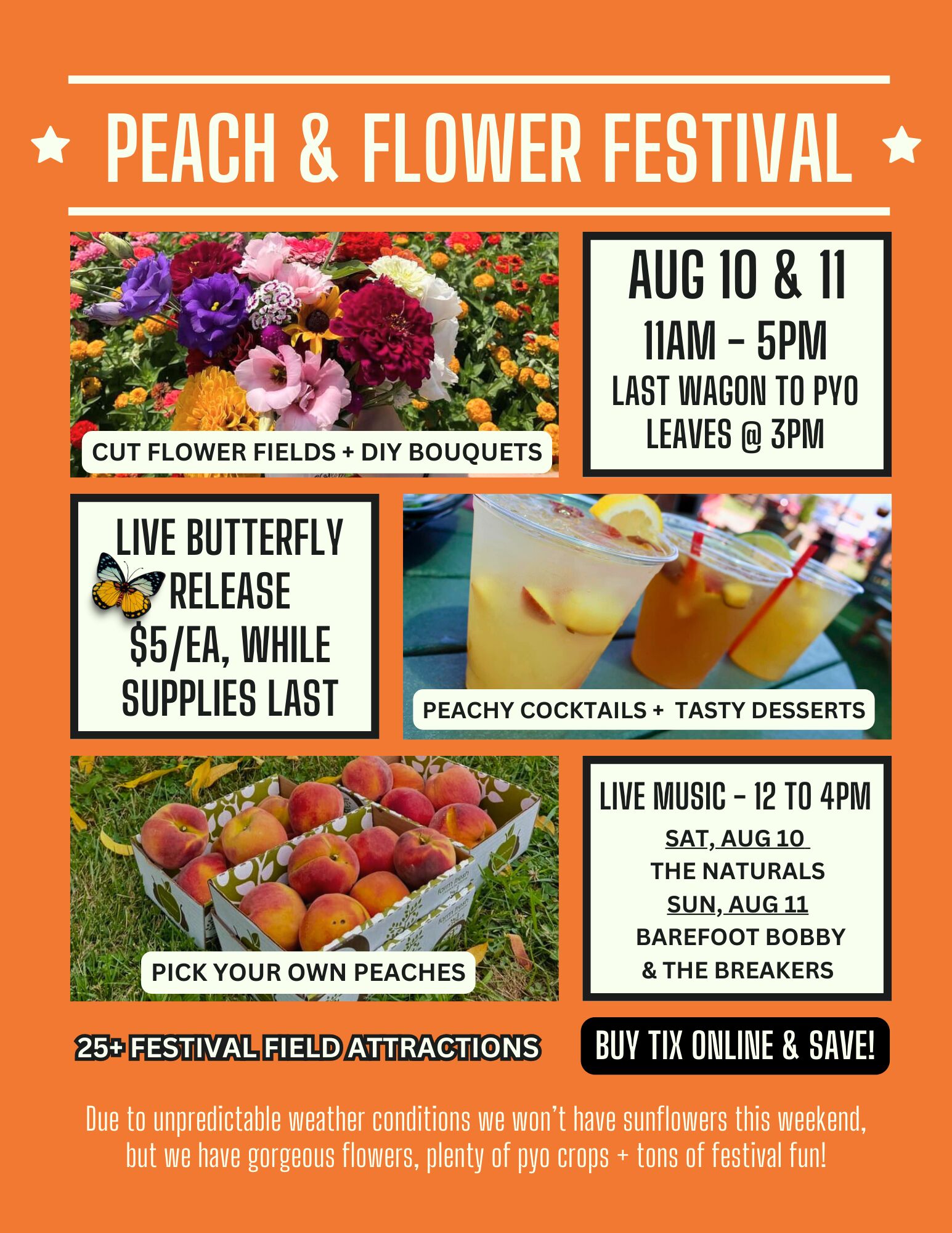 peach and flower festival