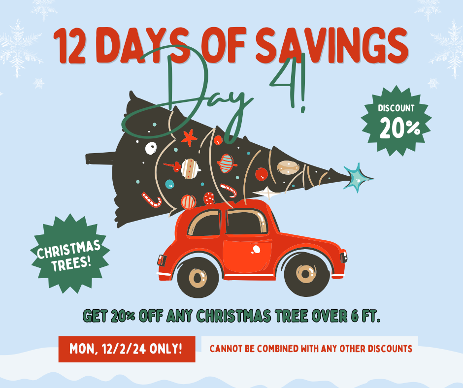 20% off xmas trees